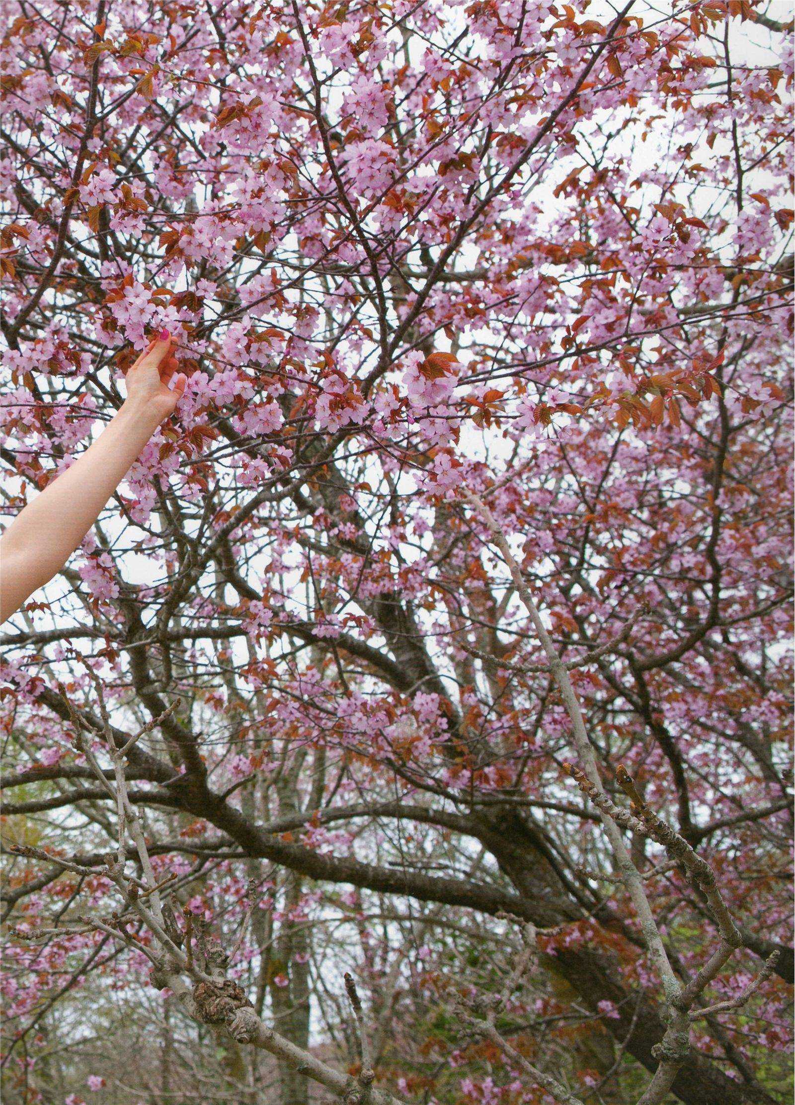 吉木り さ 赤裸々－せきらら [PB写真集] Risa Yoshiki